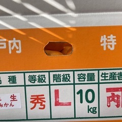 瀬戸内特産みかんLサイズの画像