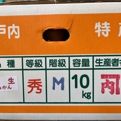 瀬戸内特産みかんLサイズの画像