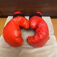 ボクシンググローブ🥊の画像