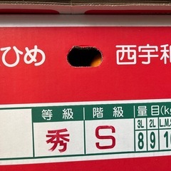 愛媛県産蜜柑 1箱の画像