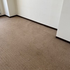 高級カーペットの画像