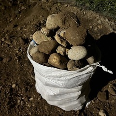 【無料】土19袋　石1袋　エイジング済み枕木の画像