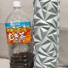 ダイエット 筋膜ローラーの画像