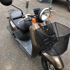 ホンダ トゥデイ AF61 実動 原付バイク 
広島市中区の画像