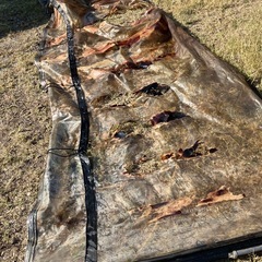 防風ビニールカーテンの画像