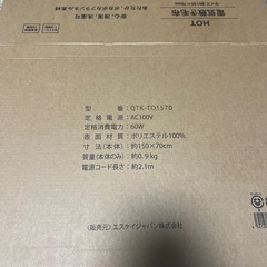 電気マット？新品
の画像