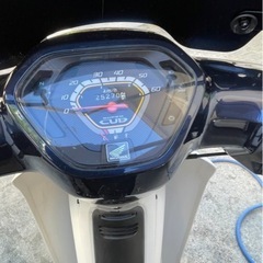 カブ　値下げしました‼️の画像