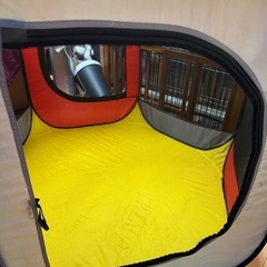 ボールプールの画像