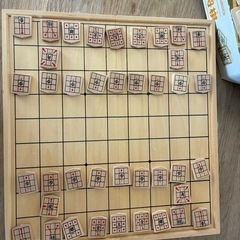学習用将棋
の画像