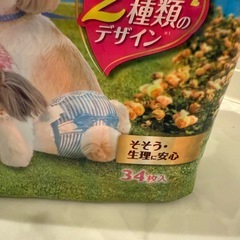 マナーパッドmサイズ　女の子　30枚の画像