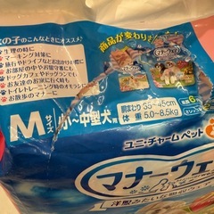 マナーパッドmサイズ　女の子　30枚の画像