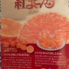 【愛媛産】紅まどんな　2個の画像