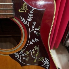 ジャパンビンテージ寺田12弦アコースティックギター ハミングバードW513の画像