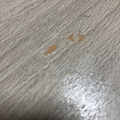 こたつテーブル ハイタイプの画像