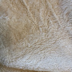 シーツ　ペットにいかがでしょうかの画像