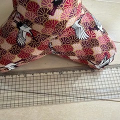 和柄ピンクテトラ★中サイズの画像