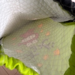 クレヨンしんちゃん　ナップサックの画像