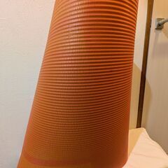 【商談中】ヨガマットの画像