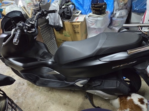バイク PCX 125   JF81