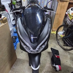 PCX 125   JF81の画像