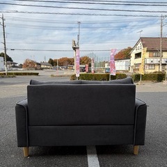 DINOS ディノス ミニマル 2Pソファ グレーの画像