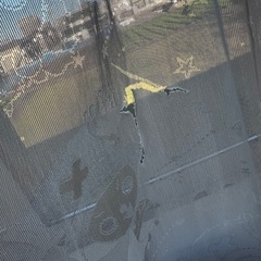 レースカーテン　チョッパーの画像