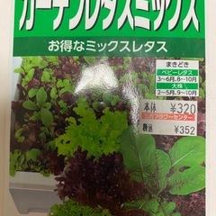 玉ねぎ苗&ガーデンレタスミックス苗の画像