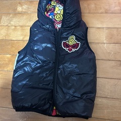 ヒスミニダウンベストの画像