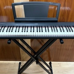 YAMAHA　Piaggero NP-31の画像