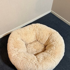 猫　犬　クッションの画像