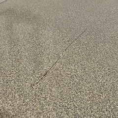 折りたたみテーブル アウトドアの画像