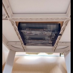 冬休み限定　こたつテーブルの画像