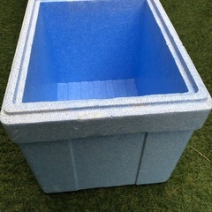 発泡スチロール　メダカ飼育　使用済みの画像