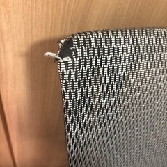 定価60,000円超え！エルゴヒューマンの画像