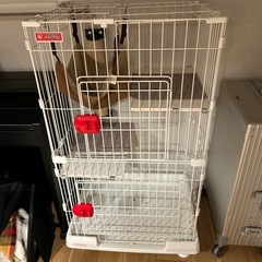  コンパクトキャットケージ 室内飼い キャットケージ 猫 猫用品 猫用 キャスター 2段 キャットゲージ コンパクト ホワイトの画像