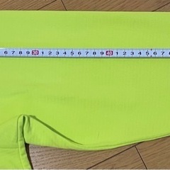  【猫飼い】 Mizuno Vネック長袖ウェア Lの画像