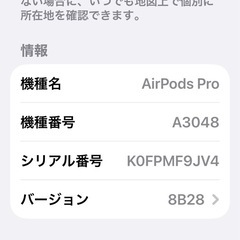 AirPods PROの画像