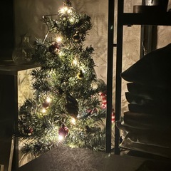 クリスマスツリーの画像