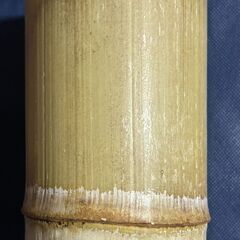 ♪ 美品 ♪　お正月生け花如何　フラワーベース LP06号＋竹花入れ置き筒の画像