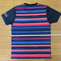 【猫飼い】 GOSEN ストライプTシャツ Mの画像