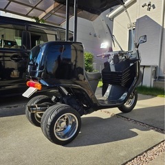 ジャイロキャノピーの画像