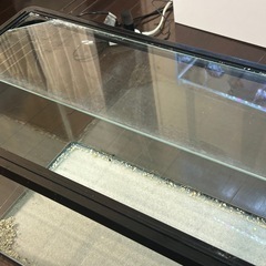 60センチ水槽貰ってくれる方！の画像