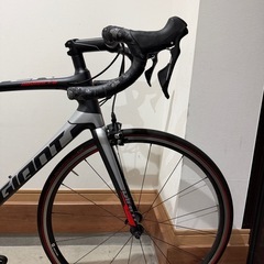 GIANT TCR ADVANCED 2 2019年モデルの画像