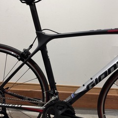 GIANT TCR ADVANCED 2 2019年モデルの画像