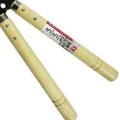 せんていばさみの画像