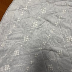 ニトリ　薄手の敷物/カーペットの画像