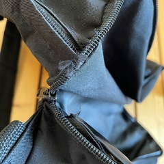 【猫飼い】Lee リュック黒（雑誌付録）の画像