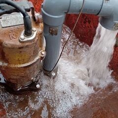 ツルミ　水中ポンプ　サニーホース2インチ　セットの画像