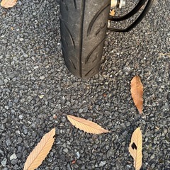 ホンダ トゥデイ 好調 の画像