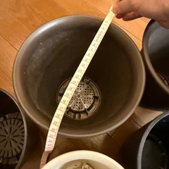 植木鉢 5個セット プラスチック鉢 直径約20cmの画像